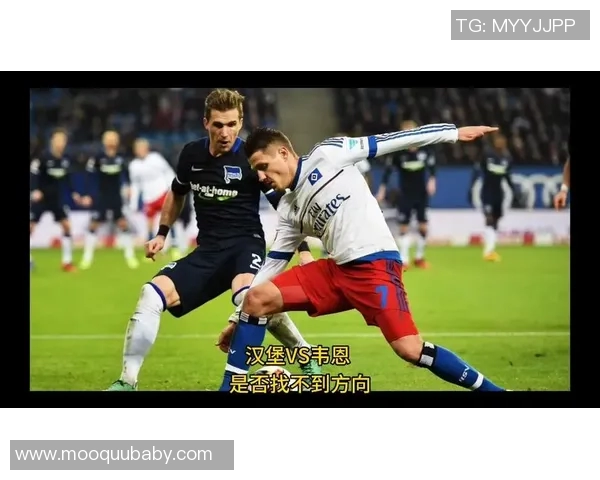 韦恩对阵汉堡的精彩对决分析与笔者独家推荐