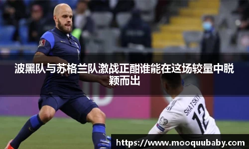 波黑队与苏格兰队激战正酣谁能在这场较量中脱颖而出
